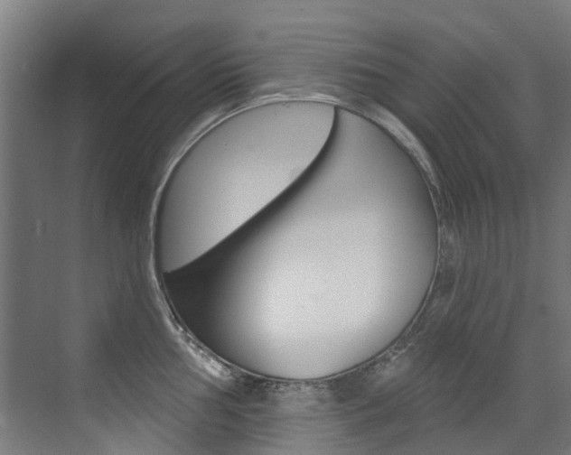 X0000072971002200607211026