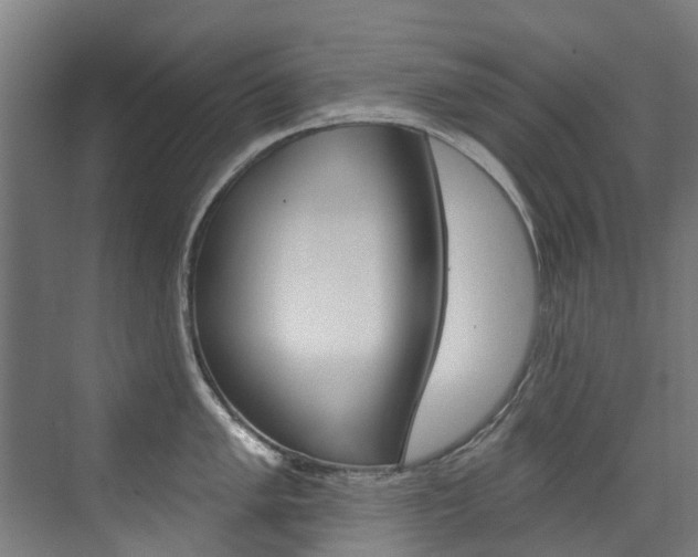 X0000072971005200607211025