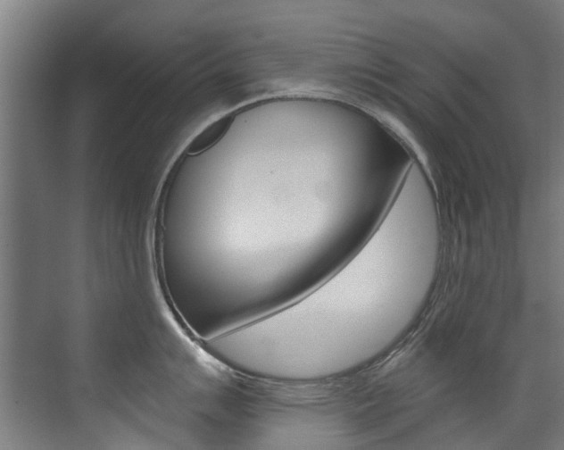 X0000072971007200607211025