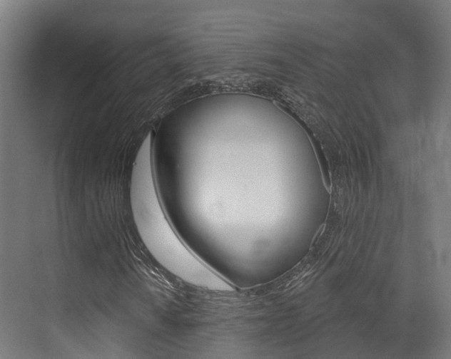 X0000072971010200607211025