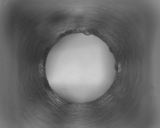 X0000072971011200607211025