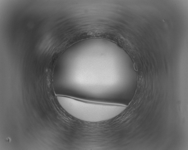 X0000072971012200607211025