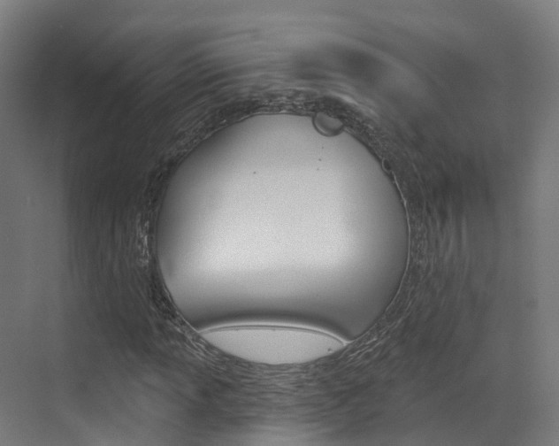 X0000072971013200607211025