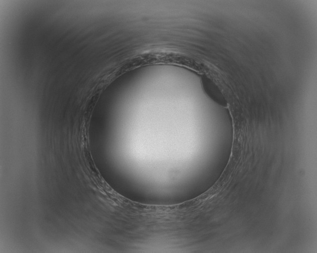 X0000072971014200607211025
