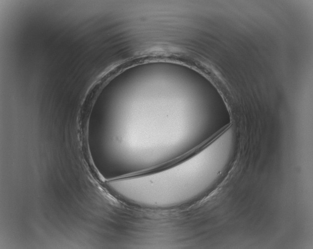 X0000072971018200607211025