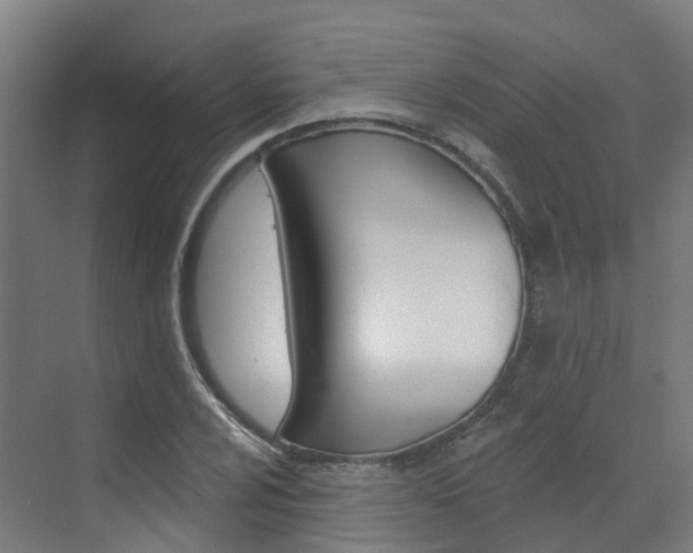 X0000072971024200607211025
