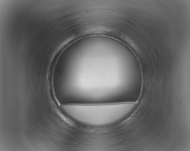 X0000072971026200607211025