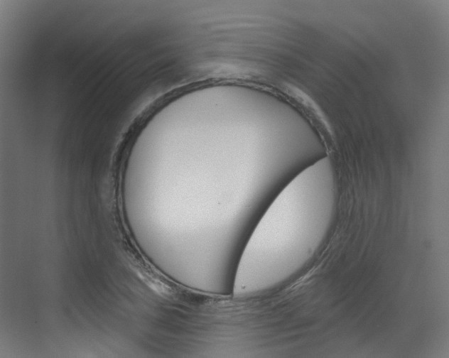 X0000072971027200607211025
