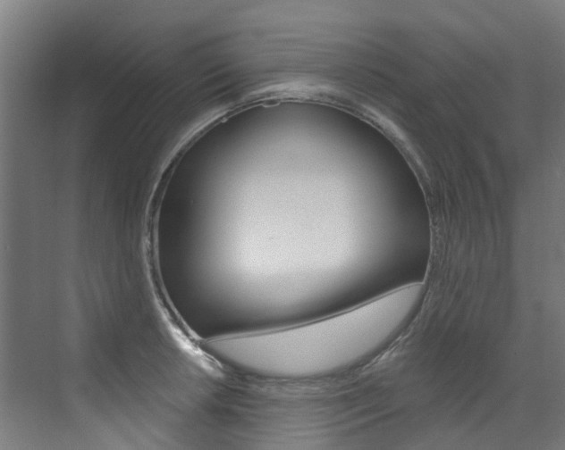 X0000072971042200607211025