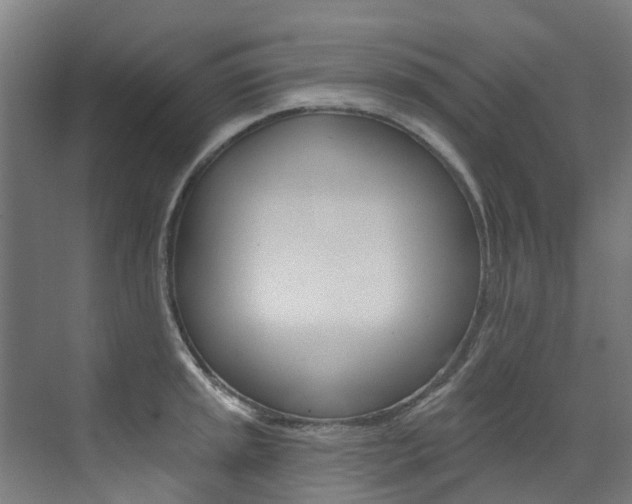 X0000072971045200607211025