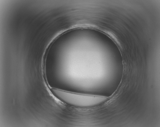 X0000072971046200607211025