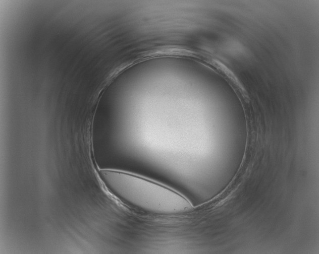X0000072971049200607211025