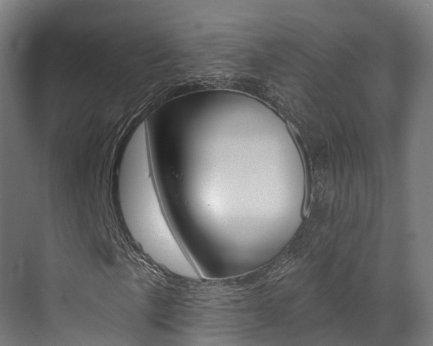 X0000072971057200607211025