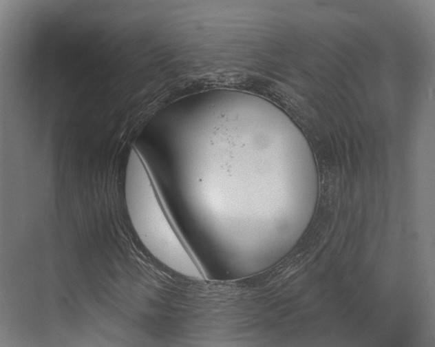 X0000072971058200607211025