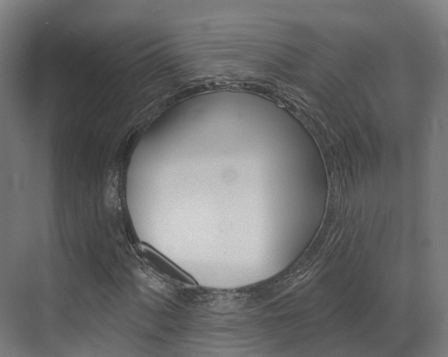 X0000072971060200607211025