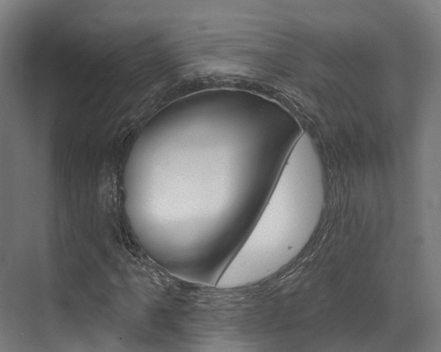 X0000072971061200607211025