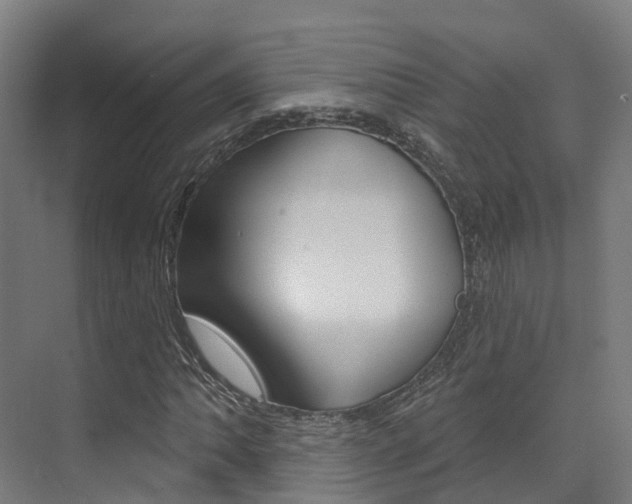 X0000072971062200607211025