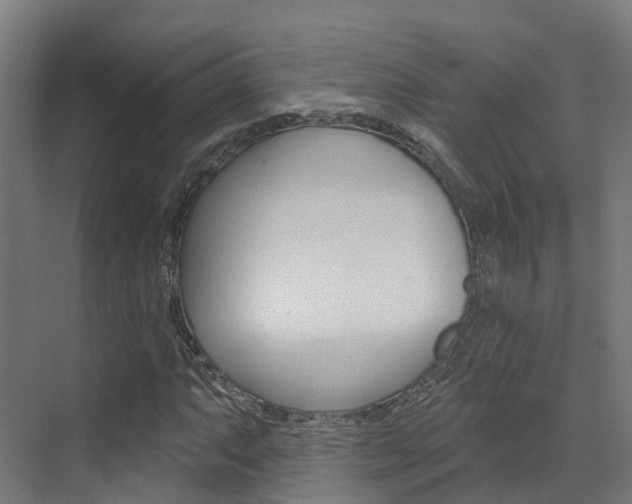 X0000072971063200607211024
