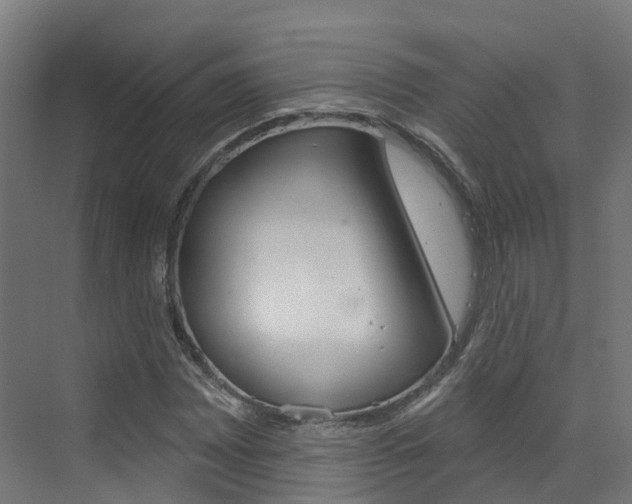 X0000072971065200607211024