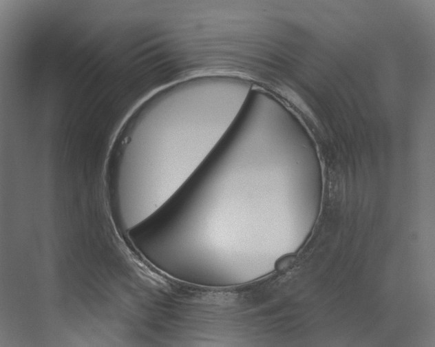 X0000072971068200607211024