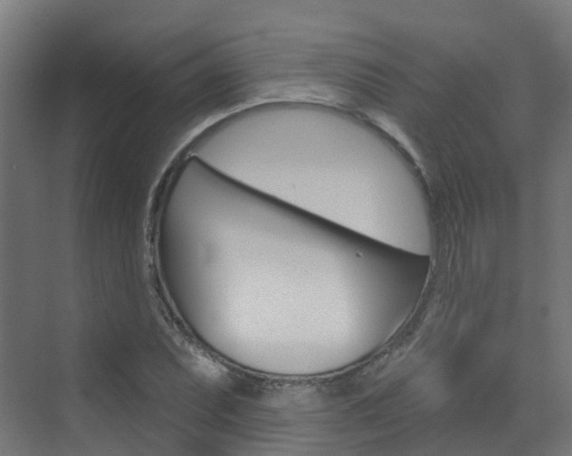X0000072971071200607211024