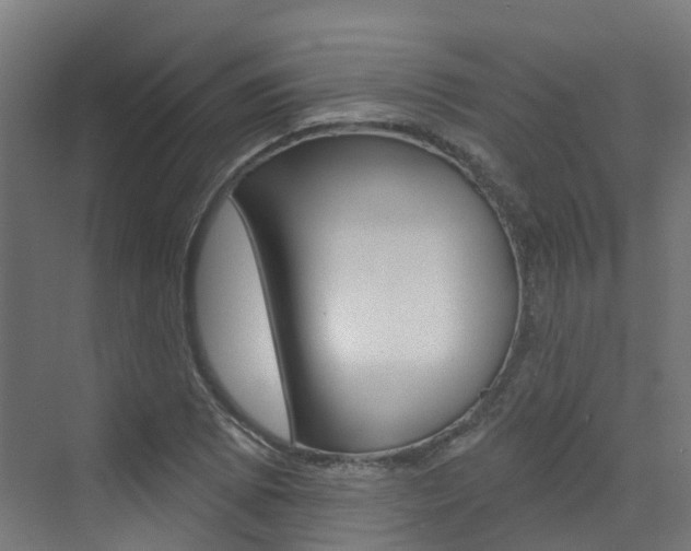X0000072971073200607211024