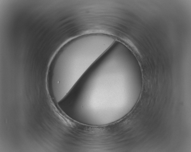 X0000072971076200607211024