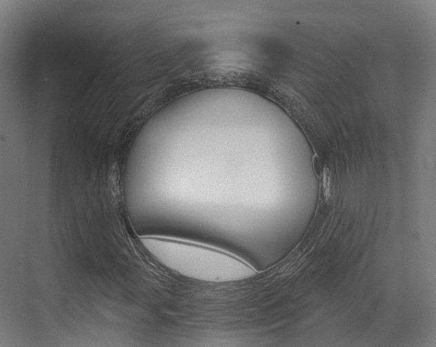 X0000072971107200607211023