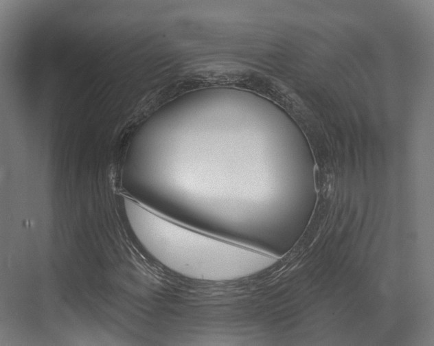 X0000072971108200607211023