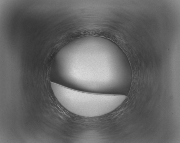 X0000072971109200607211023