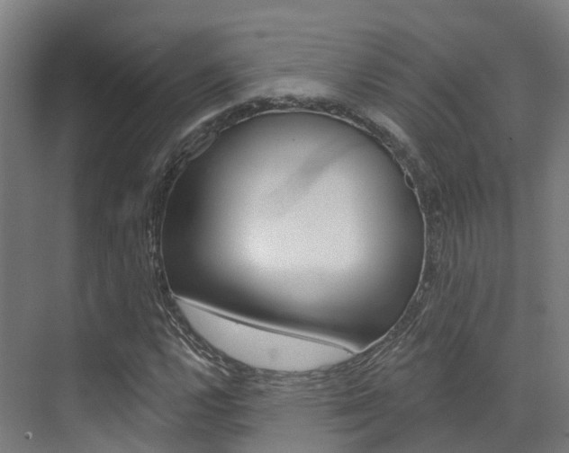 X0000072971112200607211023