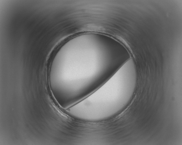 X0000072971123200607211023