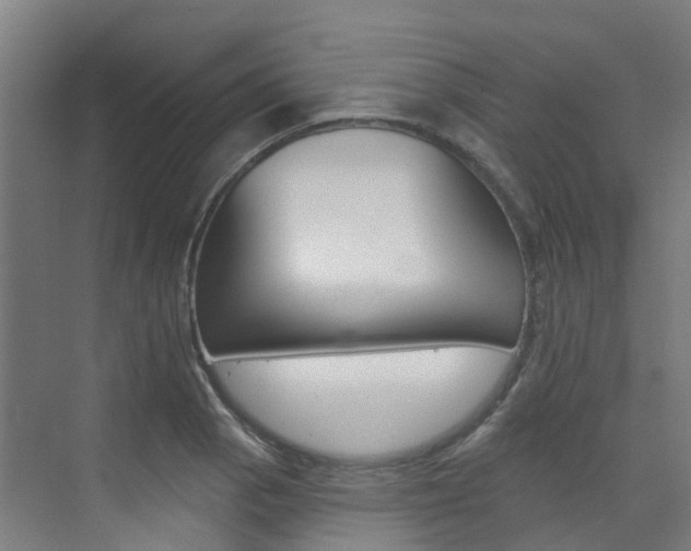 X0000072971129200607211023