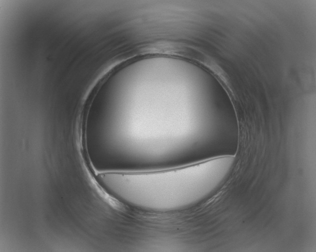 X0000072971131200607211023