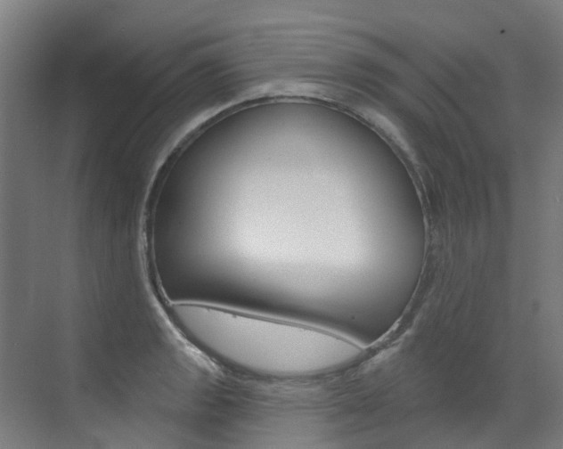 X0000072971133200607211023
