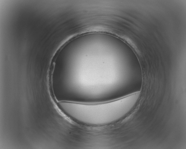 X0000072971134200607211023
