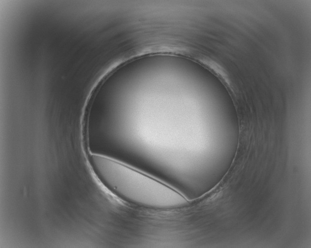 X0000072971135200607211024