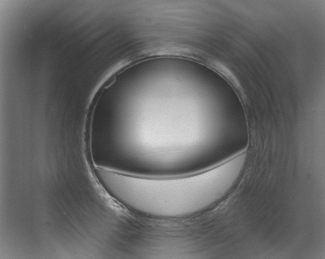 X0000072971138200607211024
