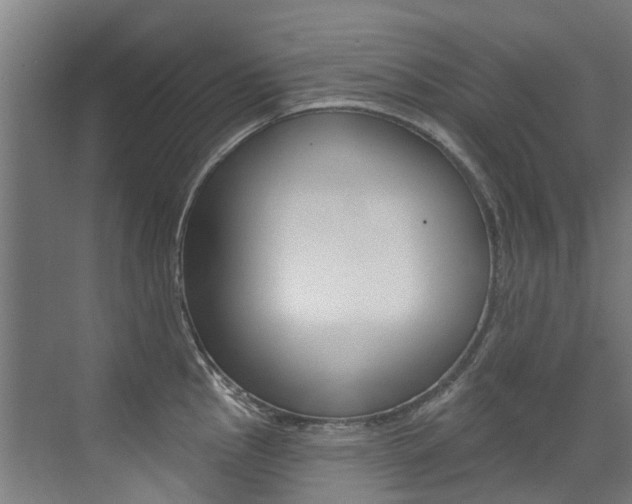 X0000072971145200607211024