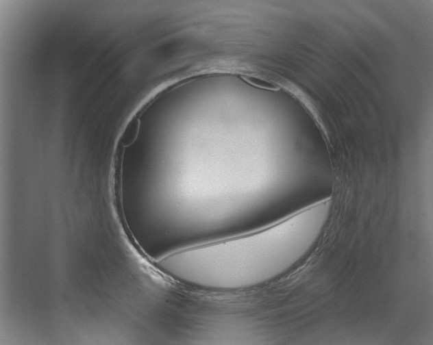 X0000072971147200607211024