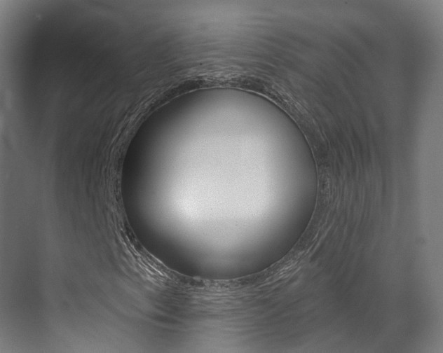 X0000072971153200607211023