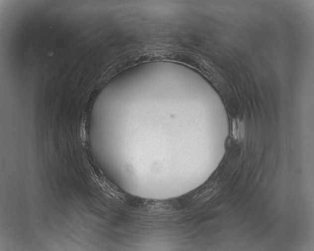 X0000072971155200607211023