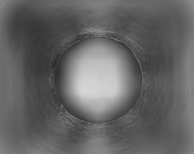 X0000072971157200607211023