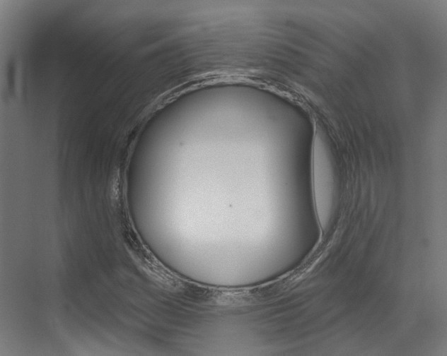 X0000072971161200607211023