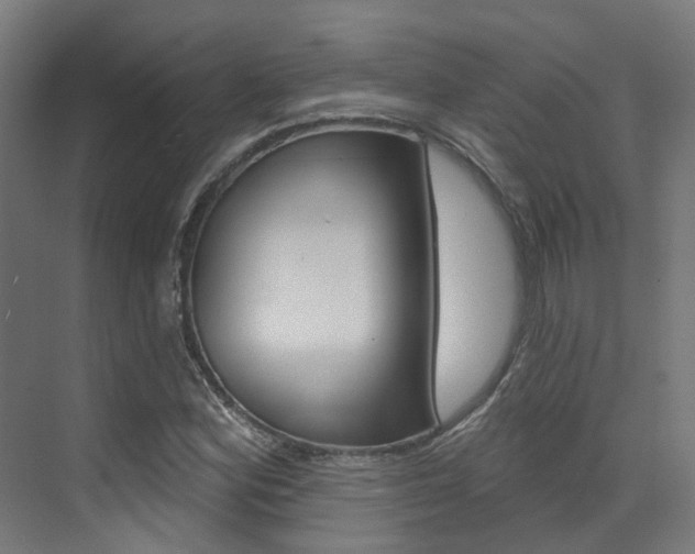X0000072971164200607211023