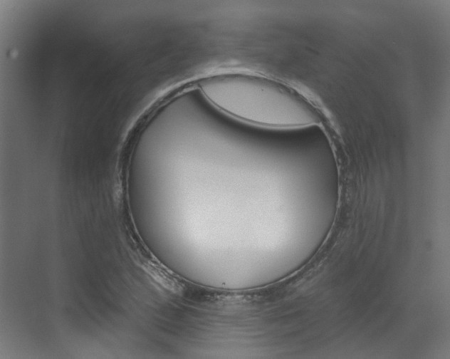 X0000072971167200607211023