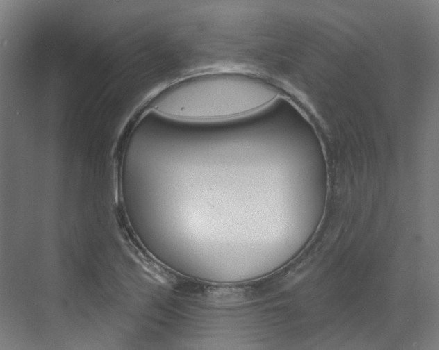 X0000072971171200607211023