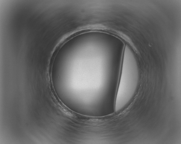 X0000072971176200607211023