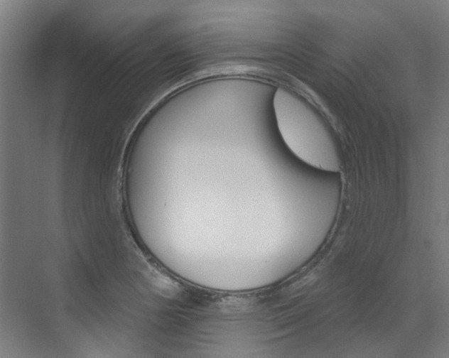 X0000072971178200607211023