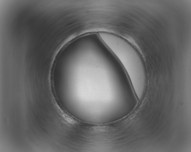 X0000072971181200607211022